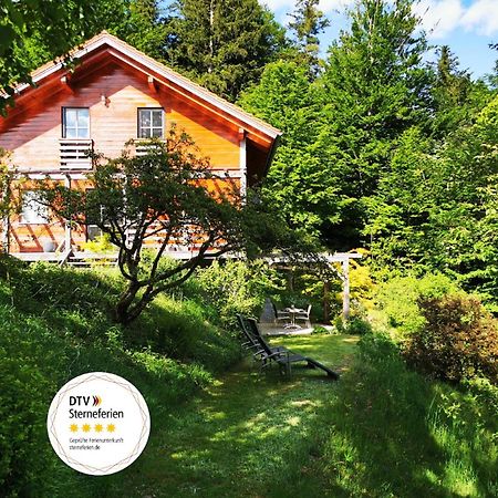 Ferienwohnung Am Woid - Herrliche Alleinlage - Vegane Einrichtung Waldkirchen Ngoại thất bức ảnh