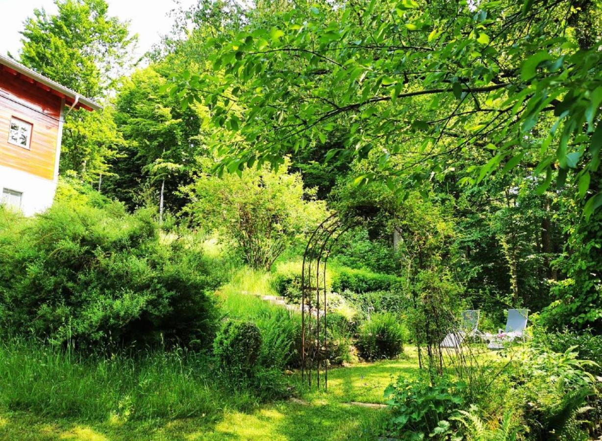 Ferienwohnung Am Woid - Herrliche Alleinlage - Vegane Einrichtung Waldkirchen Ngoại thất bức ảnh