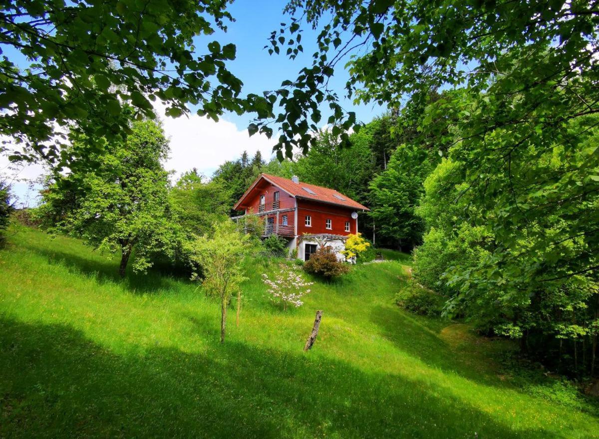 Ferienwohnung Am Woid - Herrliche Alleinlage - Vegane Einrichtung Waldkirchen Ngoại thất bức ảnh